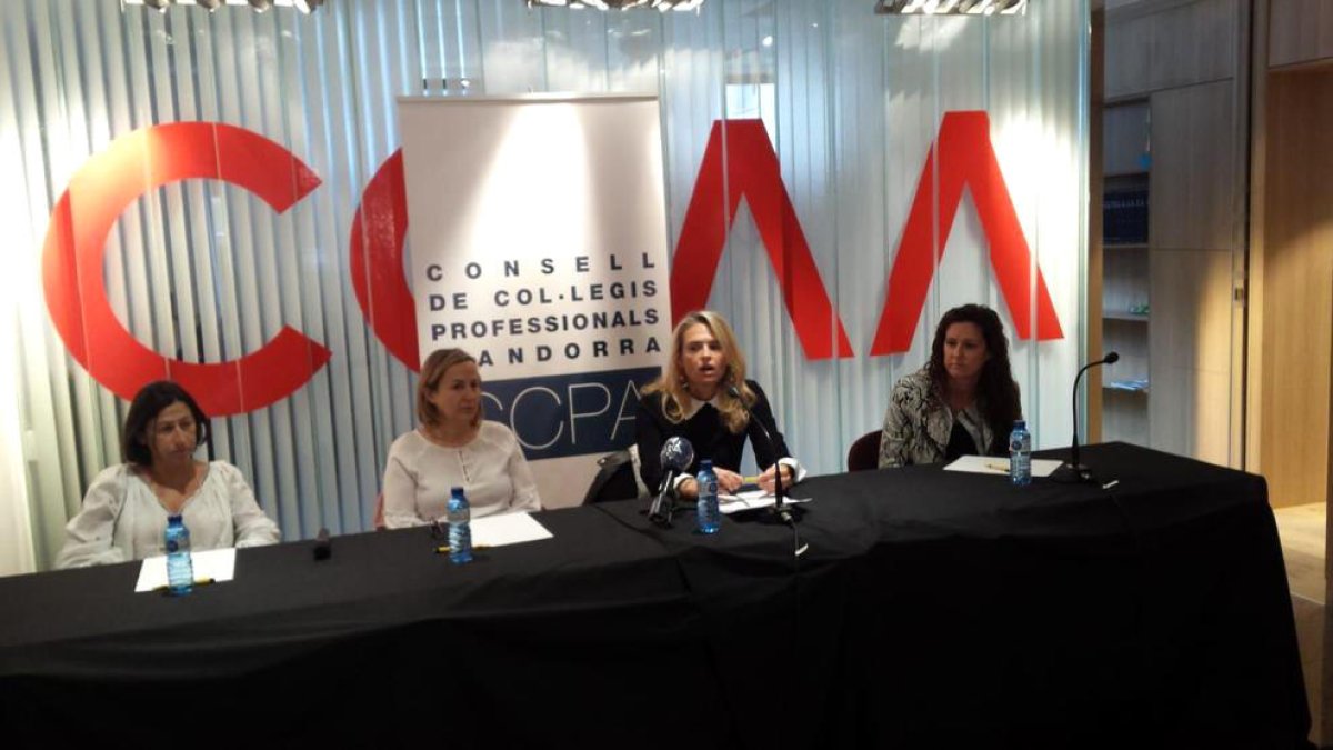 Les representants dels col·legis professionals en roda de premsa.