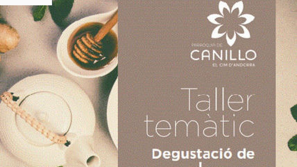 Taller temàtic. degustació de te