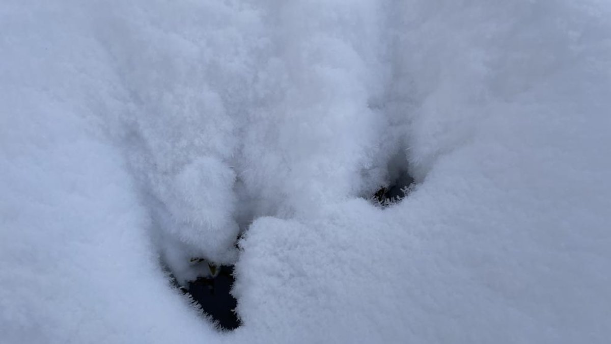 Es parla de capes febles persistents com a principal problema d'allaus