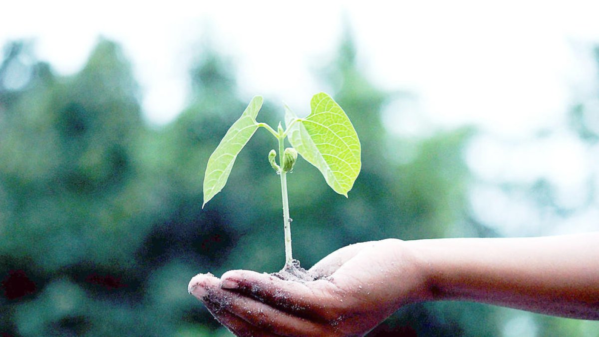 Tot projecte, nova feina o nova relació té una etapa on no dona fruit ni sembla que sigui productiu