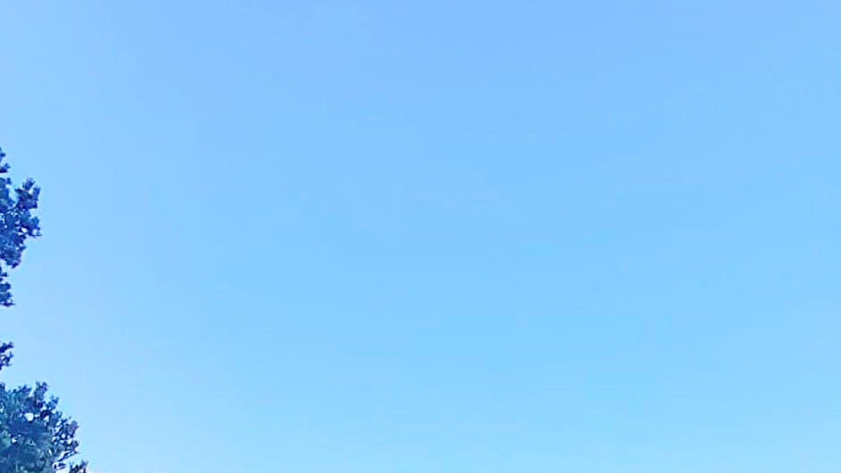 La investigadora del Cenma, Ana Echevarría.