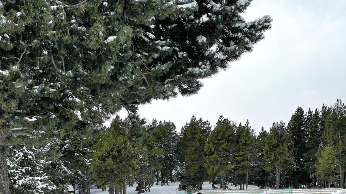 Una dona practicant esquí nòrdic durant el primer dia d'obertura de la Rabassa.