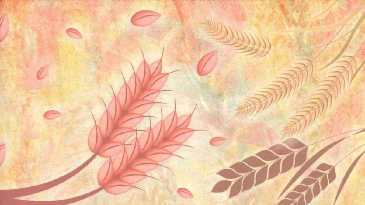 Consulta l'agenda cultural i d'activitats d'Andorra avui