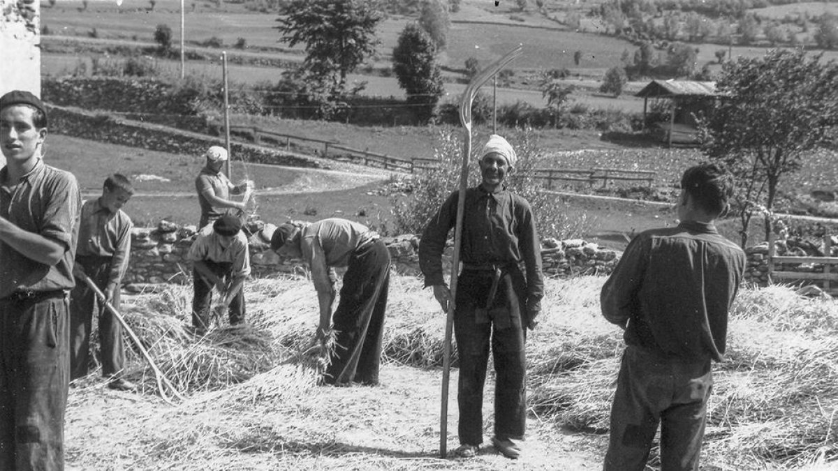 Cartell de les visites guiades