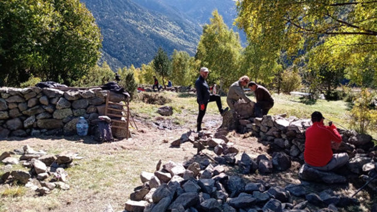 Treballs durant el curs.