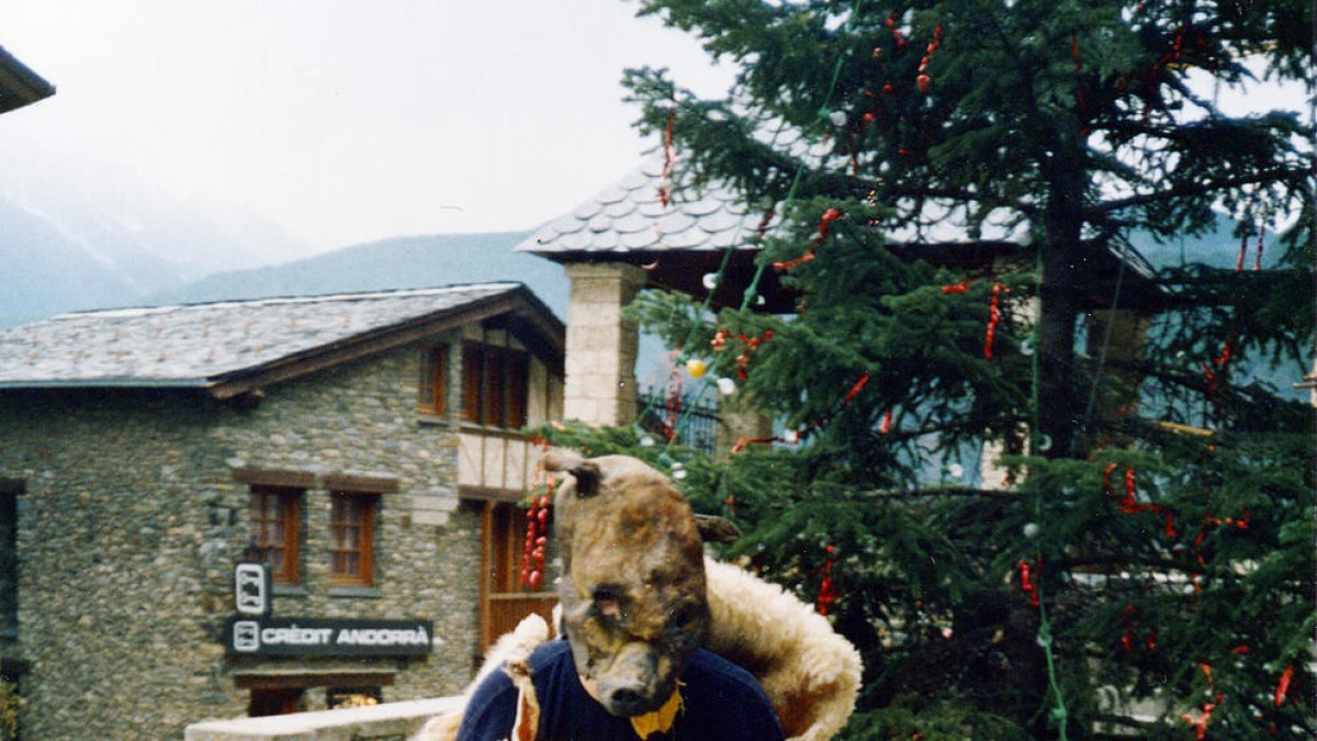 El cap és d'un os dissecat.