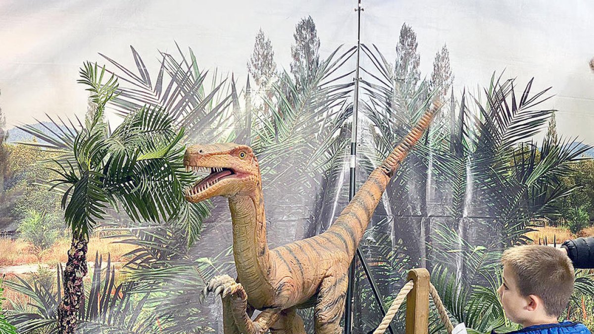 Un infant a l'exposició 'Dinosaurs Live'.