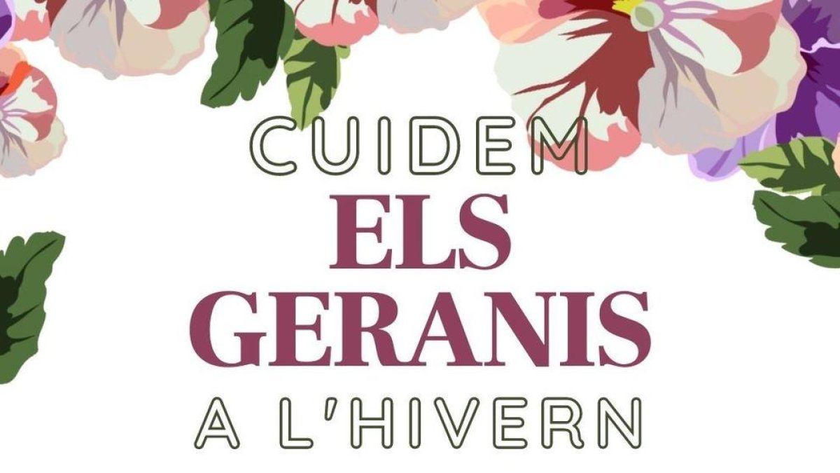 Cartell del repartiment de geranis