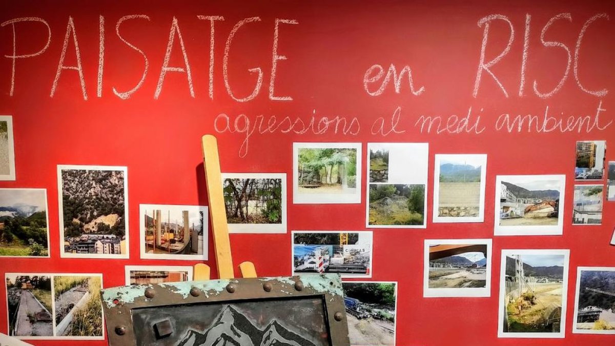 El resultat del projecte de l'any passat ha fet que es repeteixi l'experiència