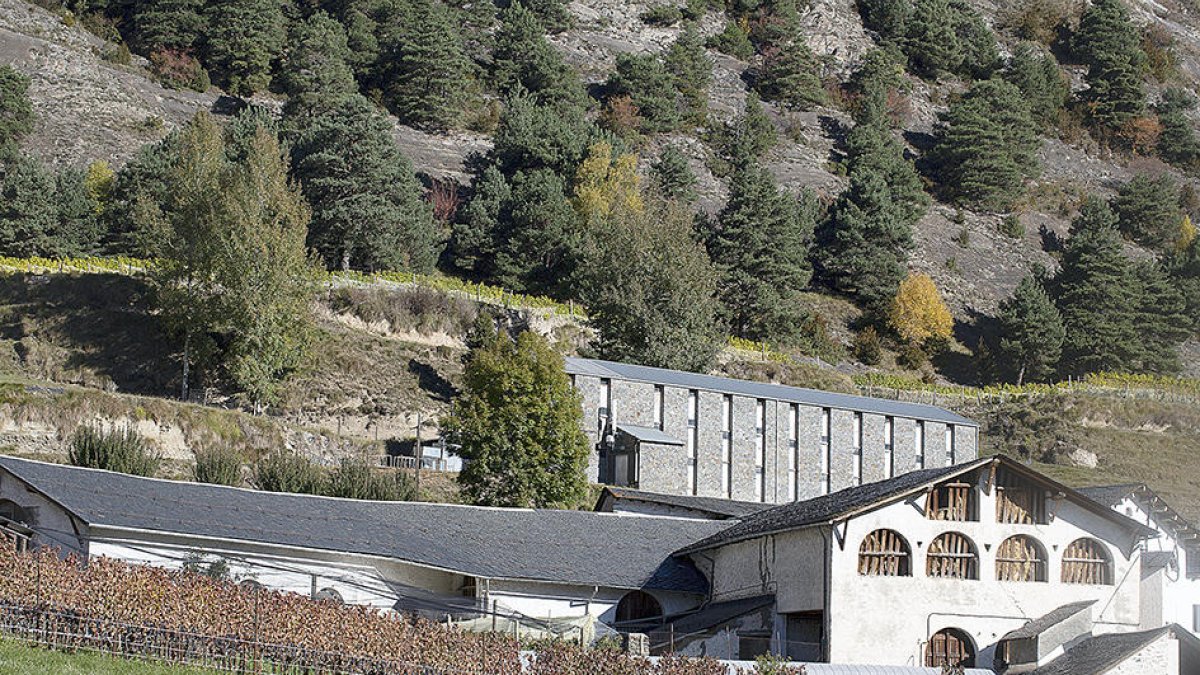 El celler Cassus Belli.