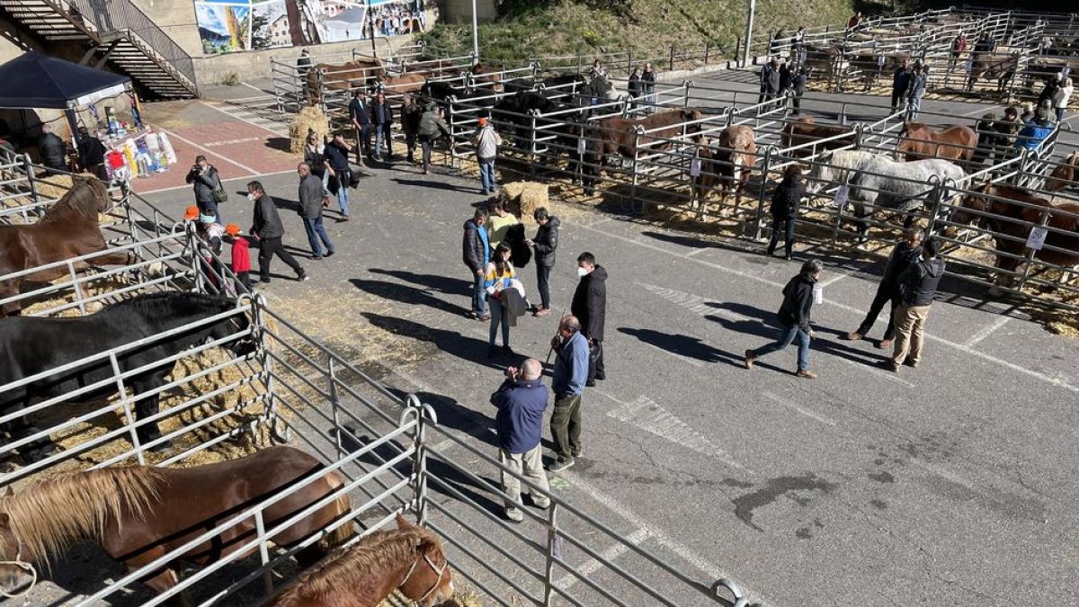 42a Fira del Bestiar d'Andorra la Vella