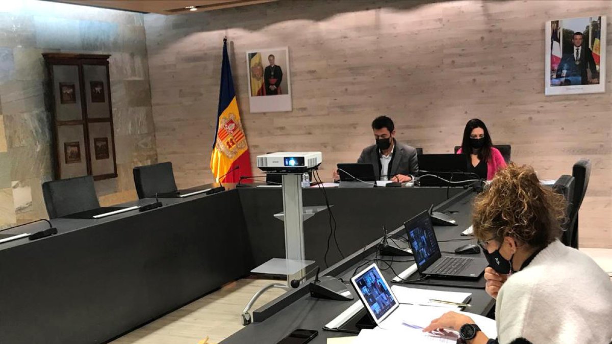 El Consell d'Infants celebrat de forma telemàtica.