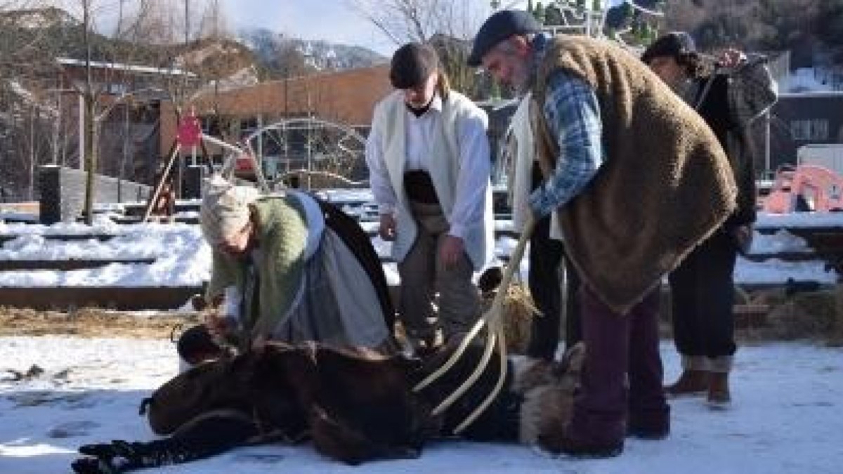 La minyona degollant l'Ossa d'Ordino després que els dallaires l'hagin atrapat.