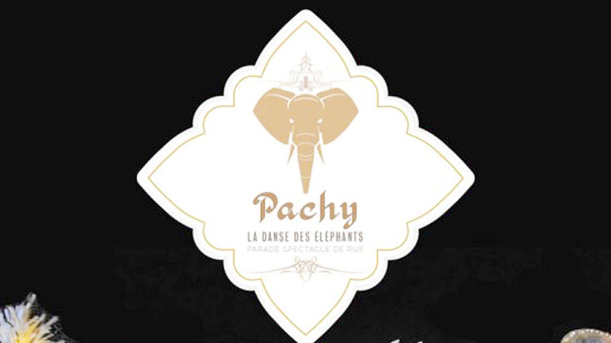 'Pachy, la danse des éléphants',