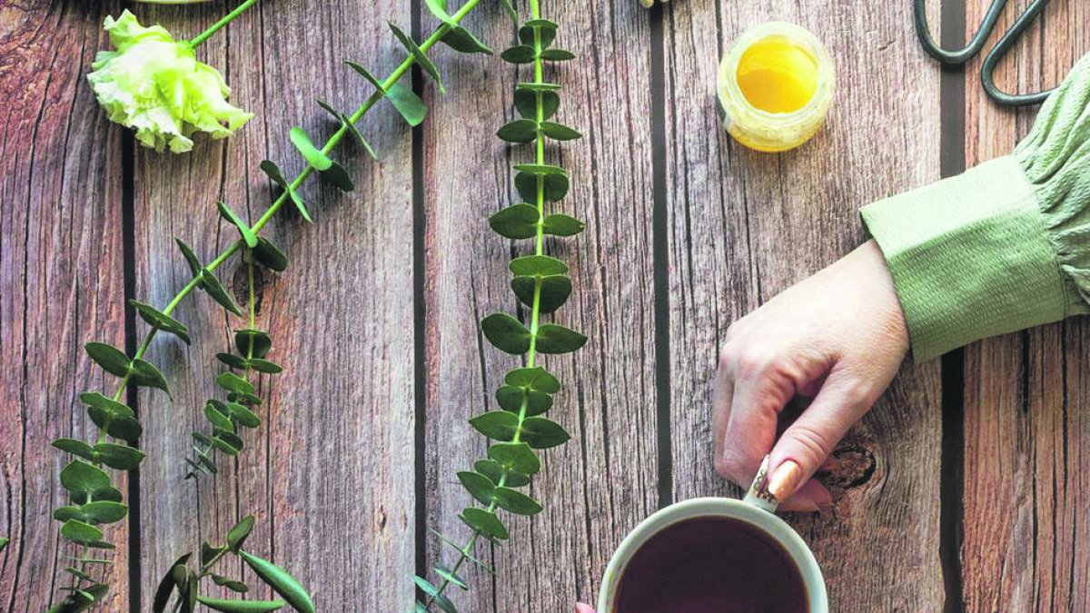 Una infusió al final del dia ens pot ajudar a dormir