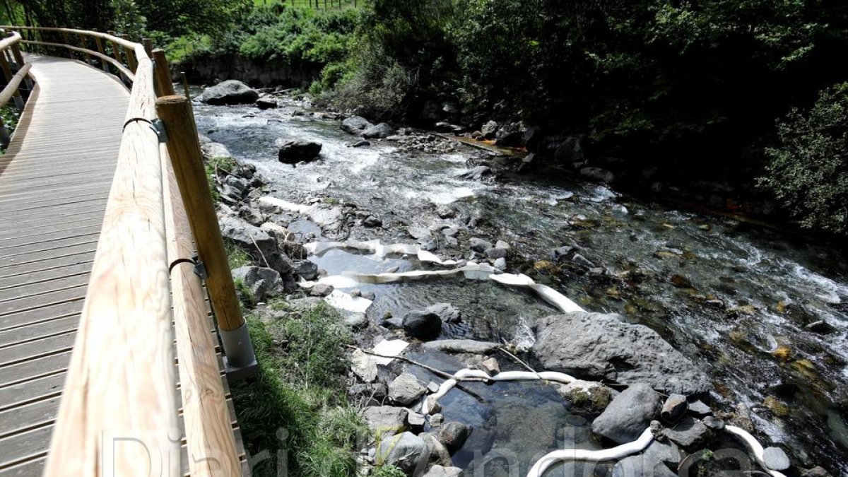 El riu aquest migdia