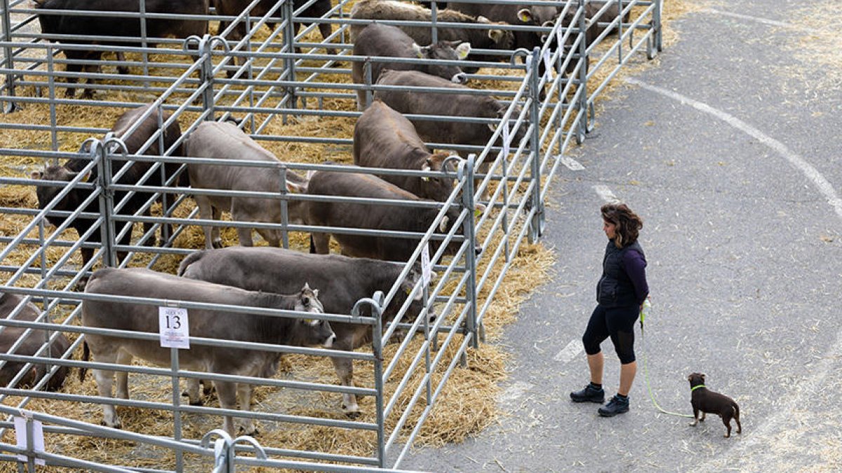 Eliminació del gravamen per importar herba