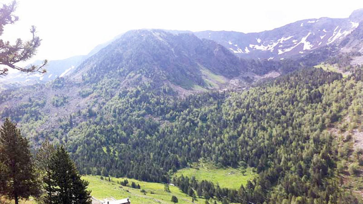Vista del planell del Quer a la vall de Sorteny.
