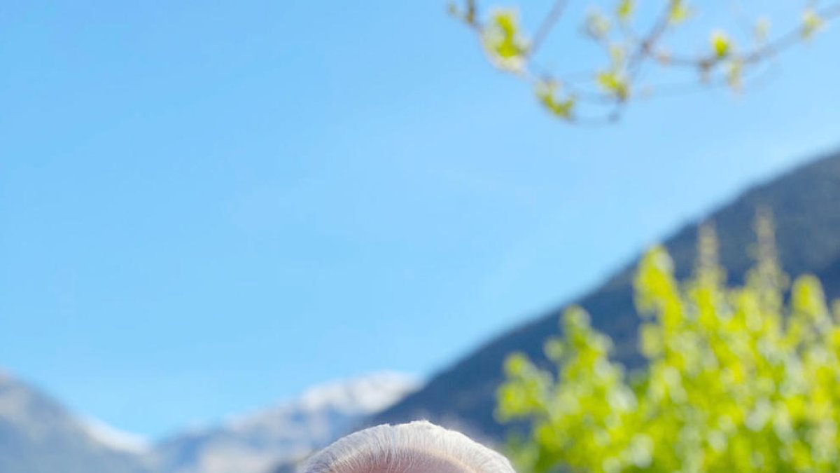 L'escriptor José Luis Muñoz serà avui a Andorra.