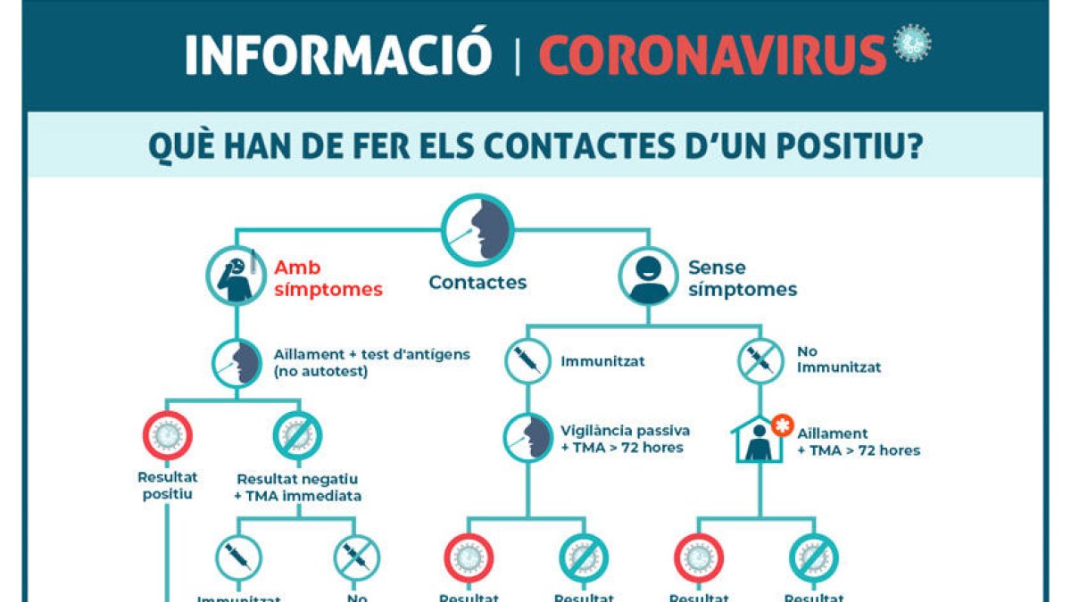 Gràfic dels protocols que cal seguir en cas de ser contacte d'un positiu.
