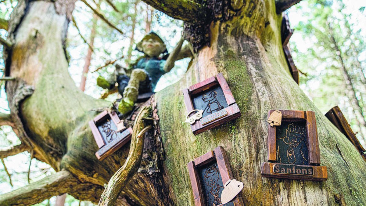 Visites teatralitzades al bosc dels menairons