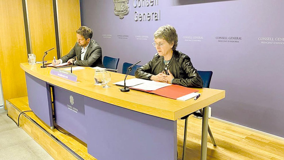 Susanna Vela i Pere López al Consell General.