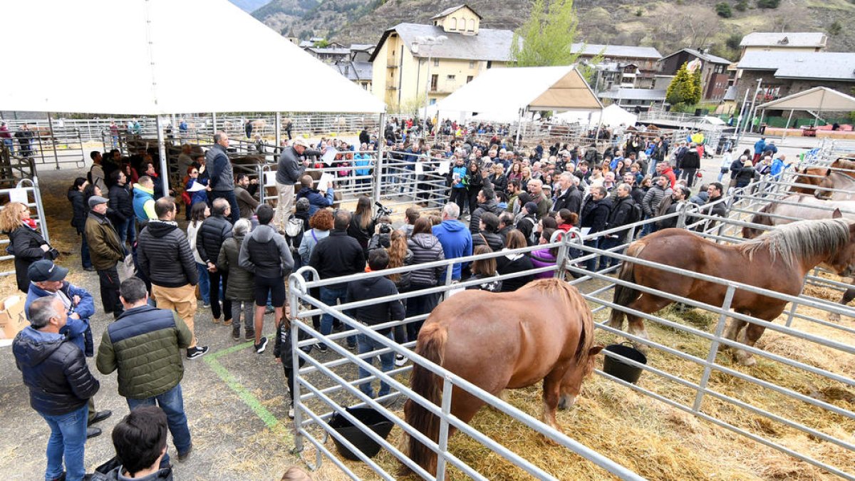 La Fira del Bestiar d'Ordino.