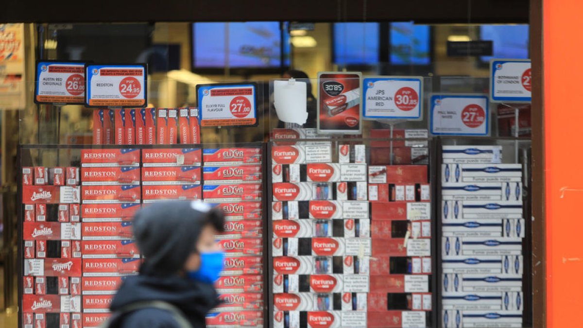 Ingressos per les taxes a les importacions