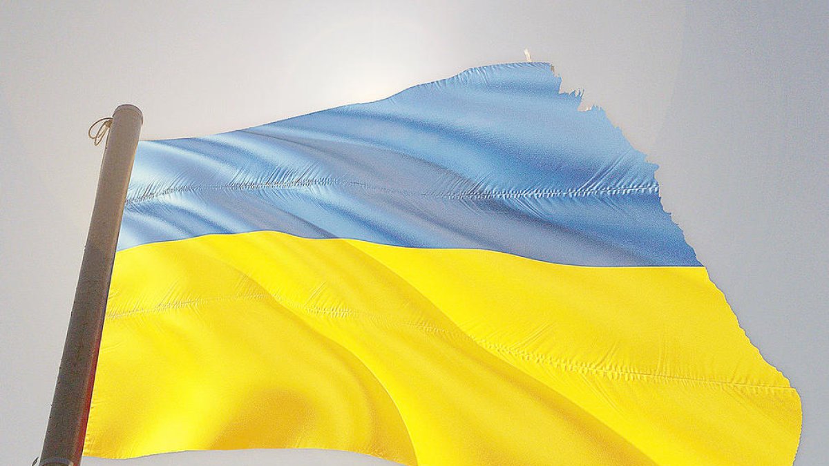 Persones que van a matar persones que no coneixen per ordre de persones que tampoc coneixen