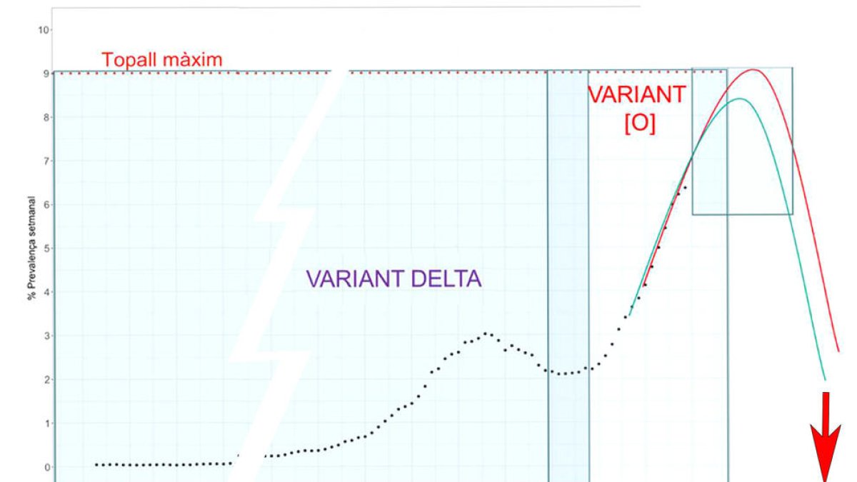La simulació realitzada pel ministeri de Salut.