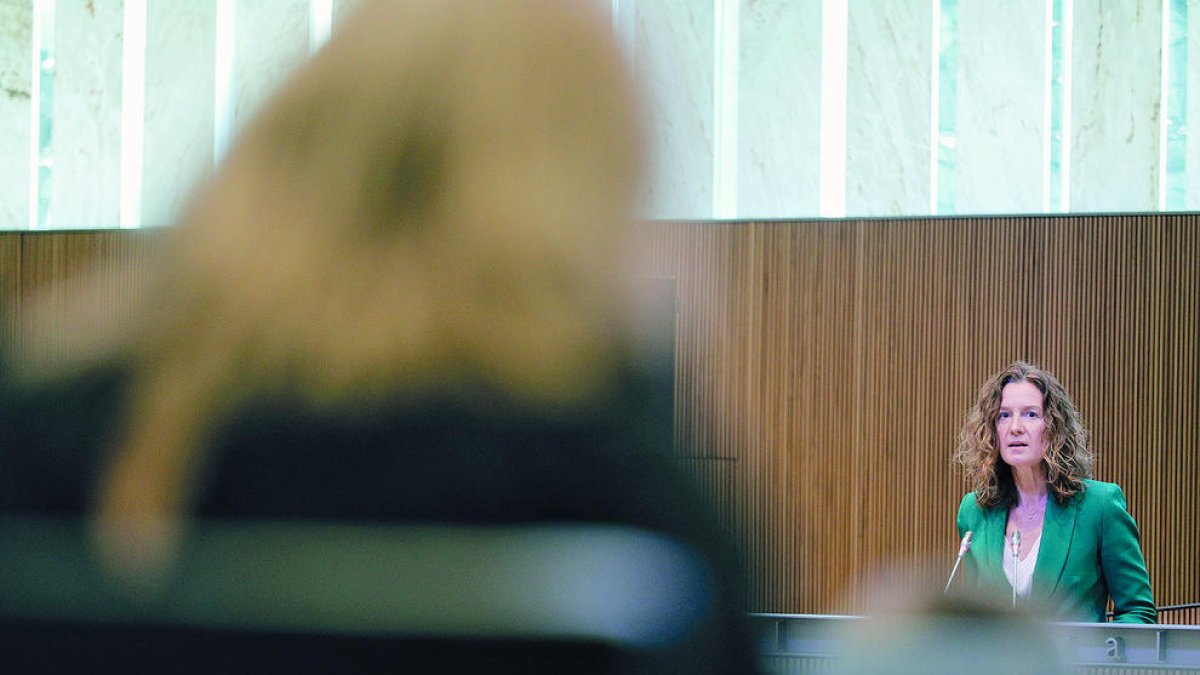 La ministra de Medi Ambient, Sílvia Calvó, al Consell General.