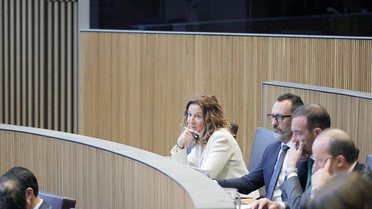 La ministra Sílvia Calvó al Consell General.