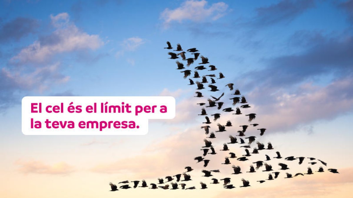 Andorra Telecom ja l'ha posat en marxa