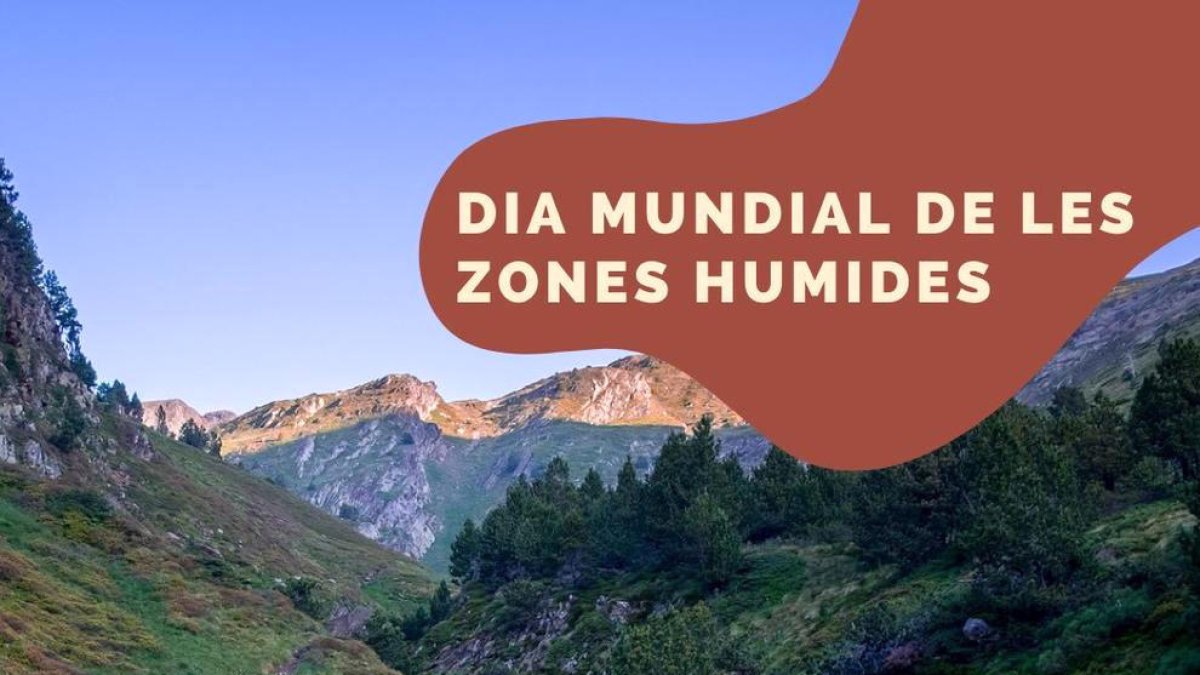 L'objectiu és la divulgació.