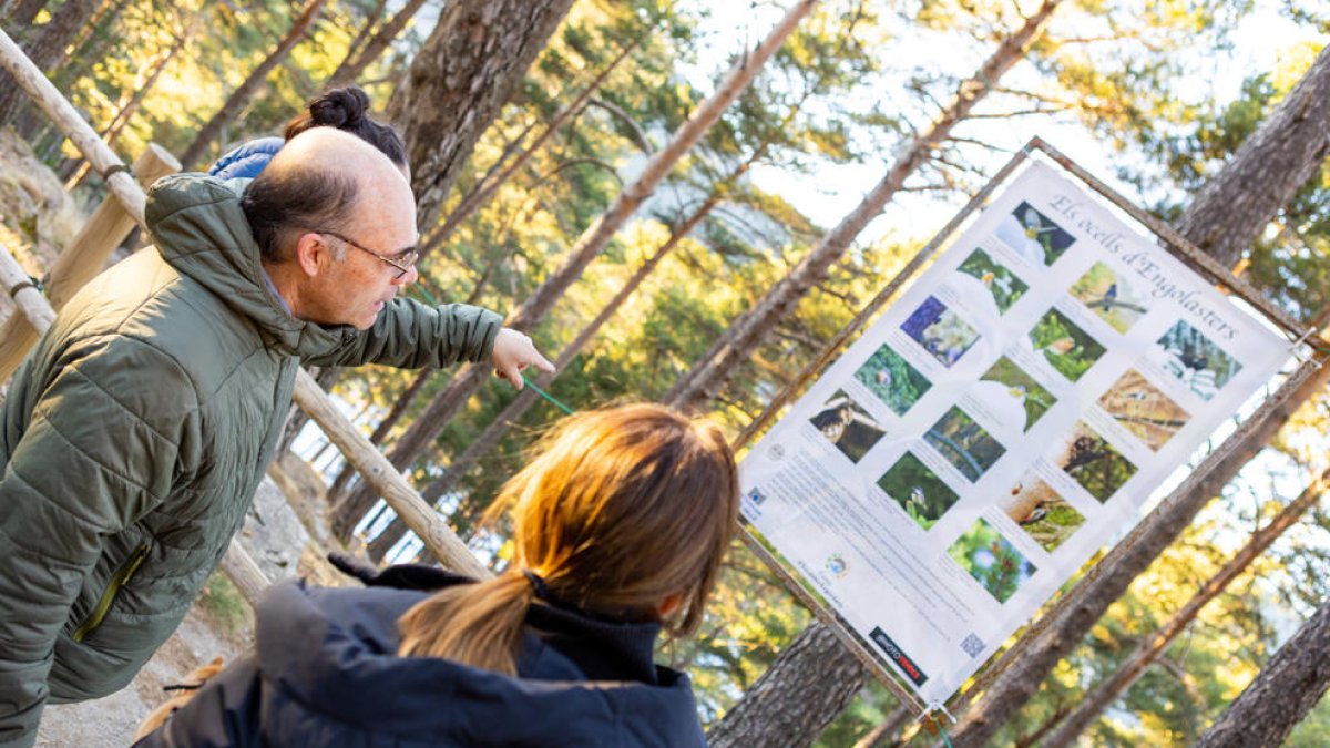 Circuit d'ocells a Engolasters