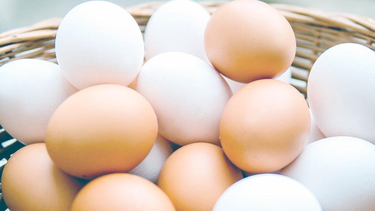 Tant la clara com el rovell contenen nutrients bàsics