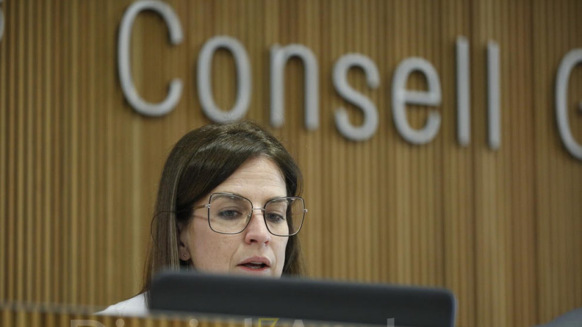 La ministra Sílvia Riva avui en roda de premsa