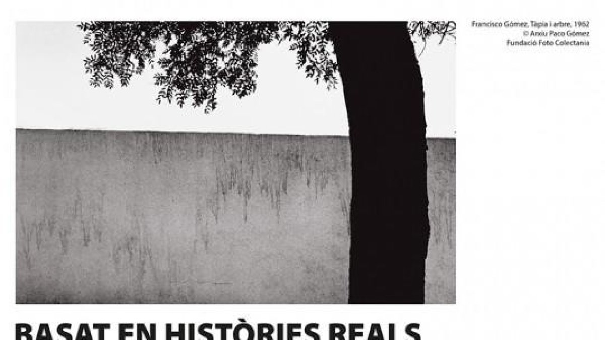 Visita nocturna a l'exposició 'Basat en històries reals'