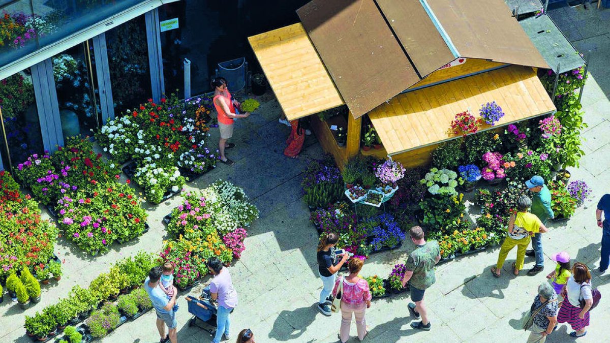 Satisfacció en el balanç d'Andoflora