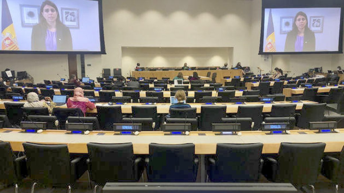 Teresa Milà durant la intervenció a l'ONU.