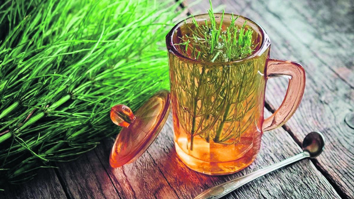 És un bon diürètic  i ajuda a mantenir el col·lagen