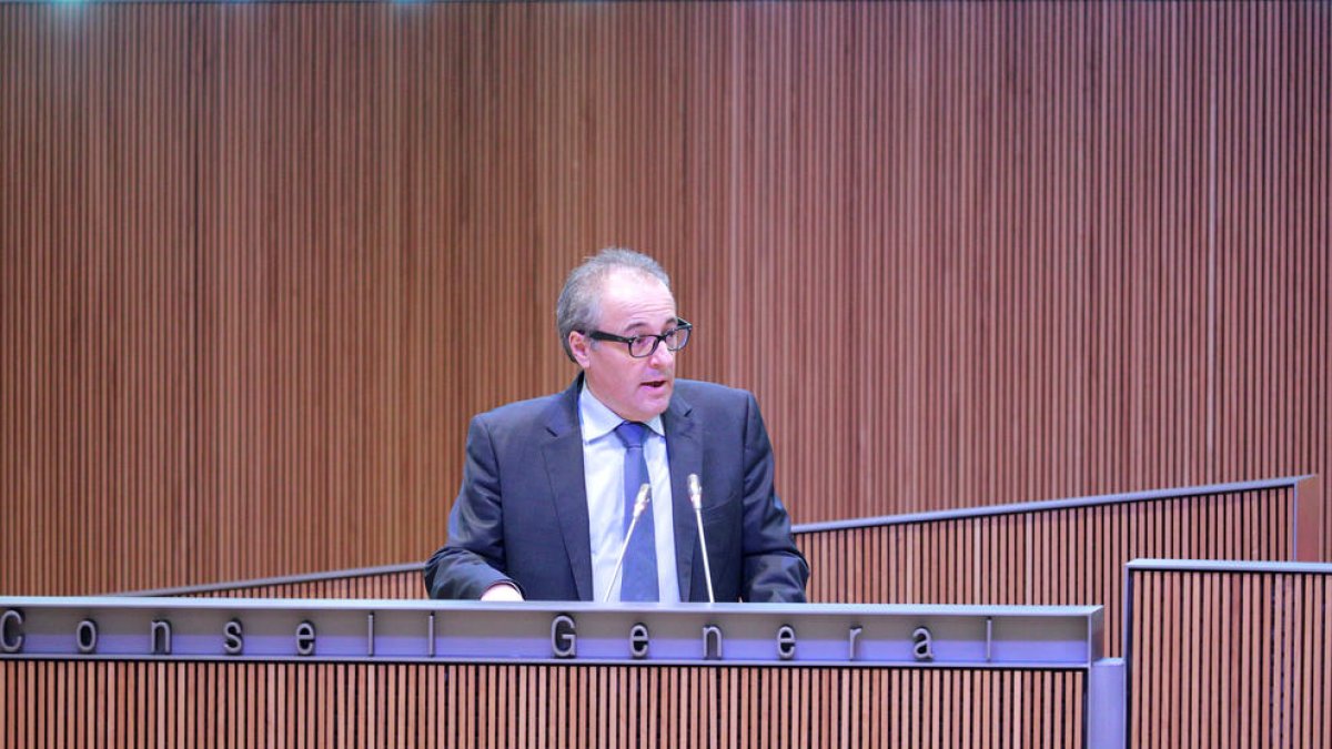 Joan Carles Camp en una intervenció al Consell General.