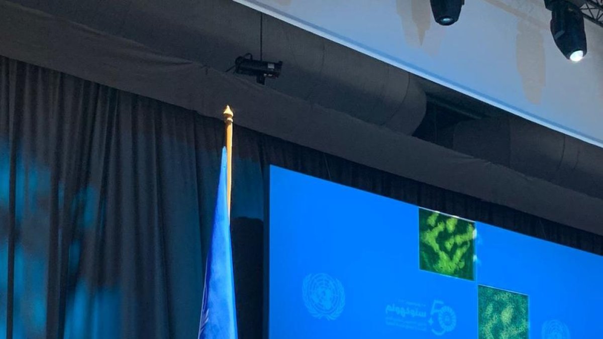 La ministra Calvó durant la seva intervenció