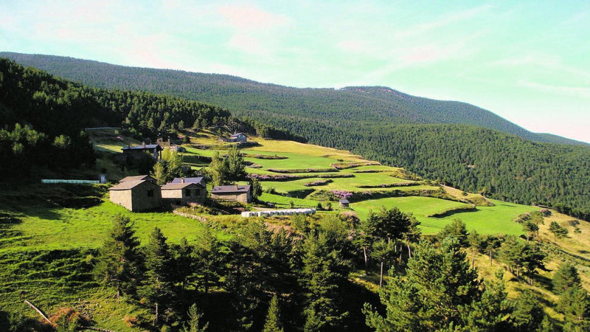 Les bordes de la Peguera.