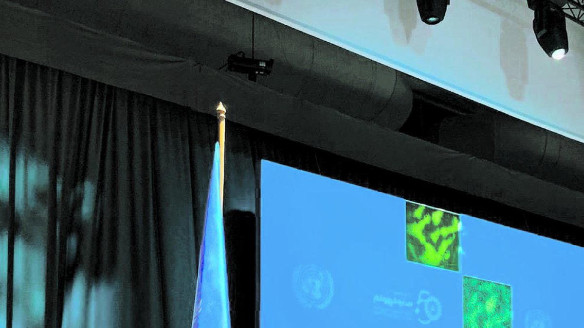 Calvó participa en la conferència Estocolm+50