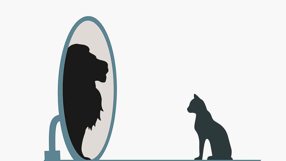 El món no gira al teu voltant. Estàs projectant els teus fantasmes i distorsionant la realitat