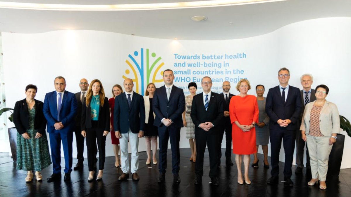 Representants dels petits estats de l'OMS.