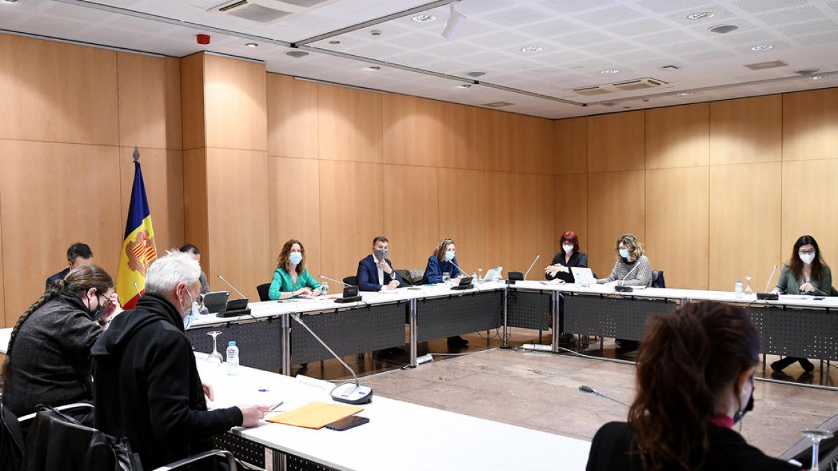 Reunió Comissió de Coordinació i Desenvolupament del Pla Nacional de Reidus.