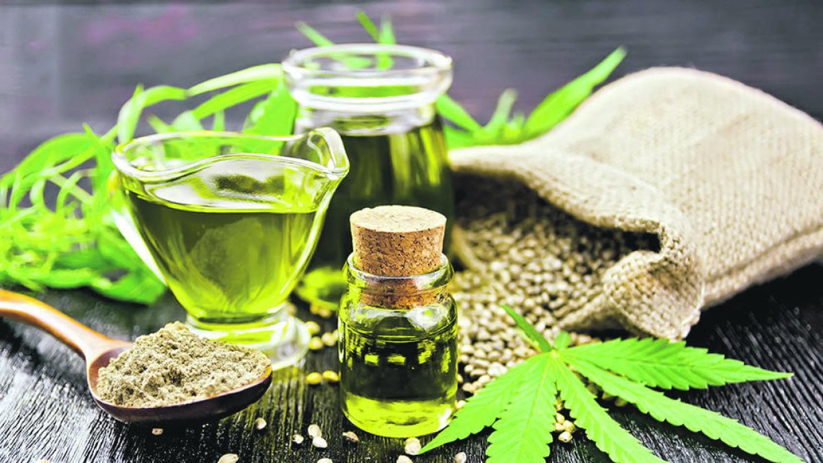 El sector demana una llei que reguli el seu ús terapèutic