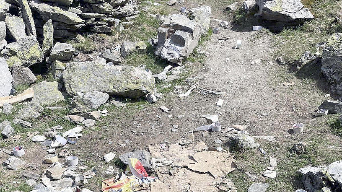 Brossa al camí de la Solana del Pas de la Casa.